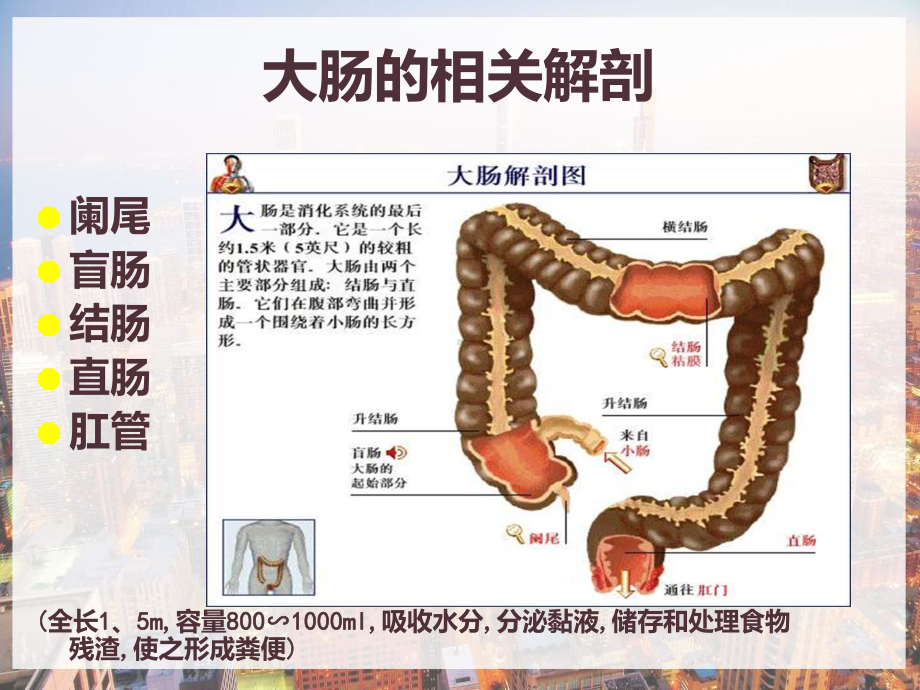 大肠癌围手术期护理-课件.pptx_第3页