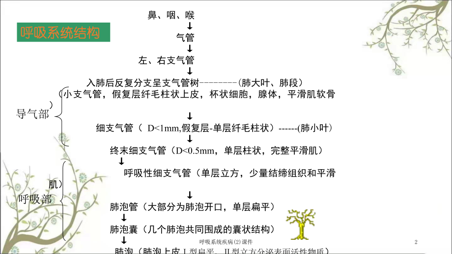 呼吸系统疾病课件2.ppt_第2页