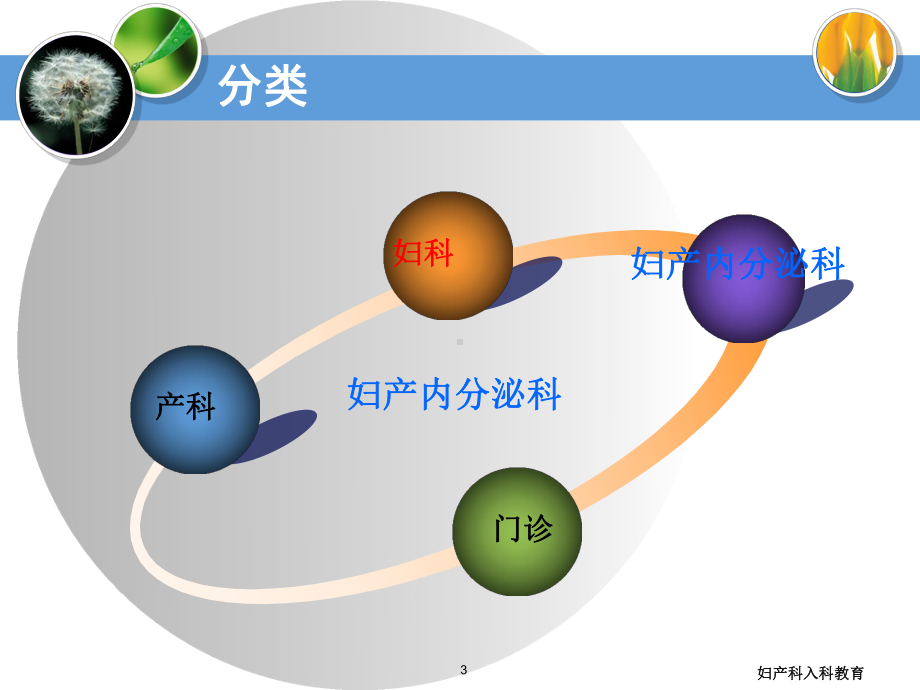 妇产科入科教育培训课件.ppt_第3页