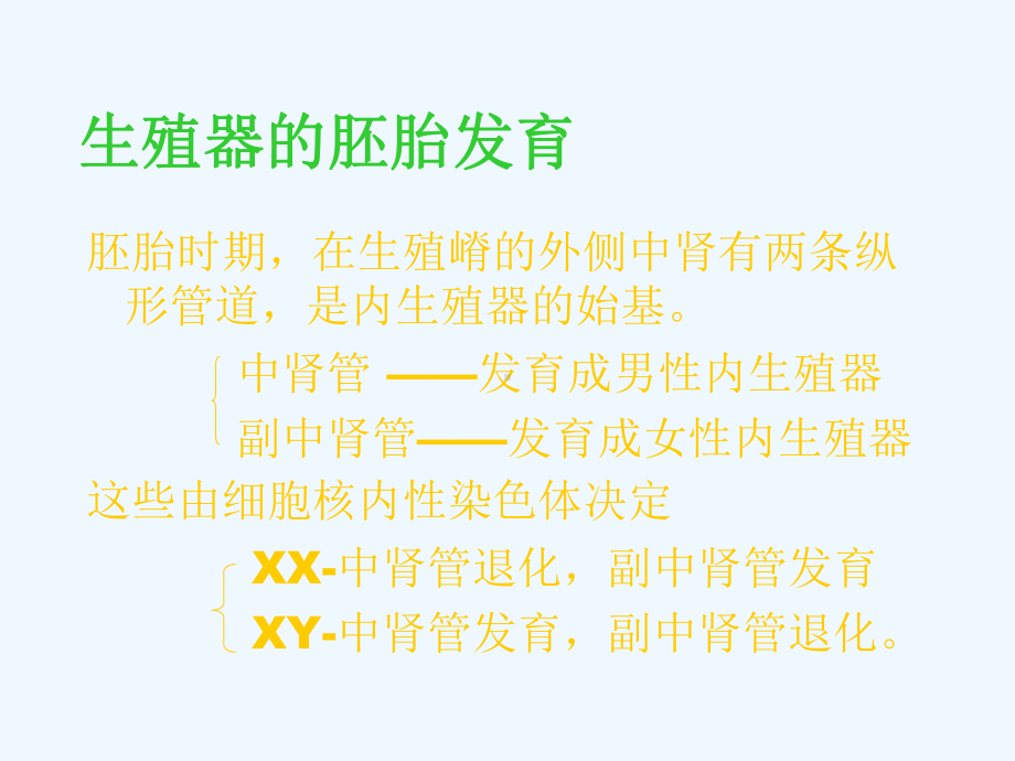 子宫发育畸形课件.ppt_第2页