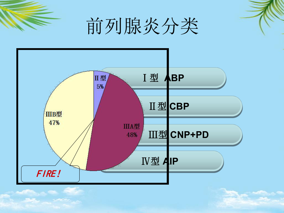 型前列腺炎课件.ppt_第2页