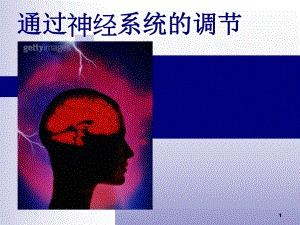 人教版教学课件通过神经系统的调节.ppt