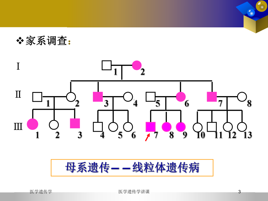 医学遗传学讲课培训课件.ppt_第3页