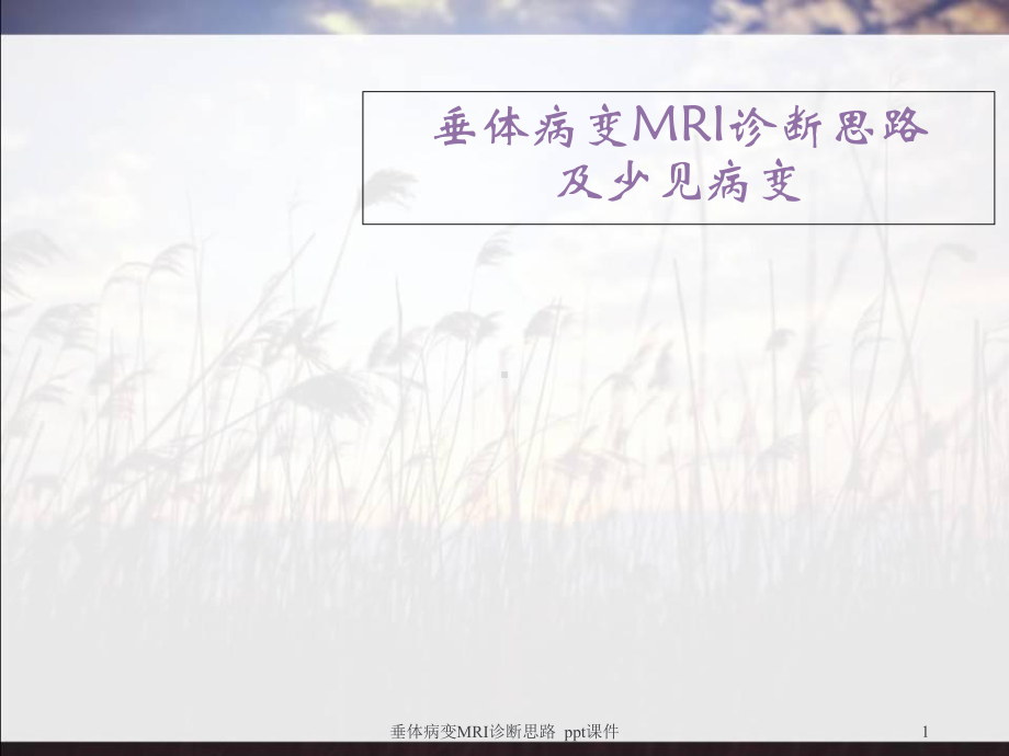 垂体病变MRI诊断思路-课件.ppt_第1页