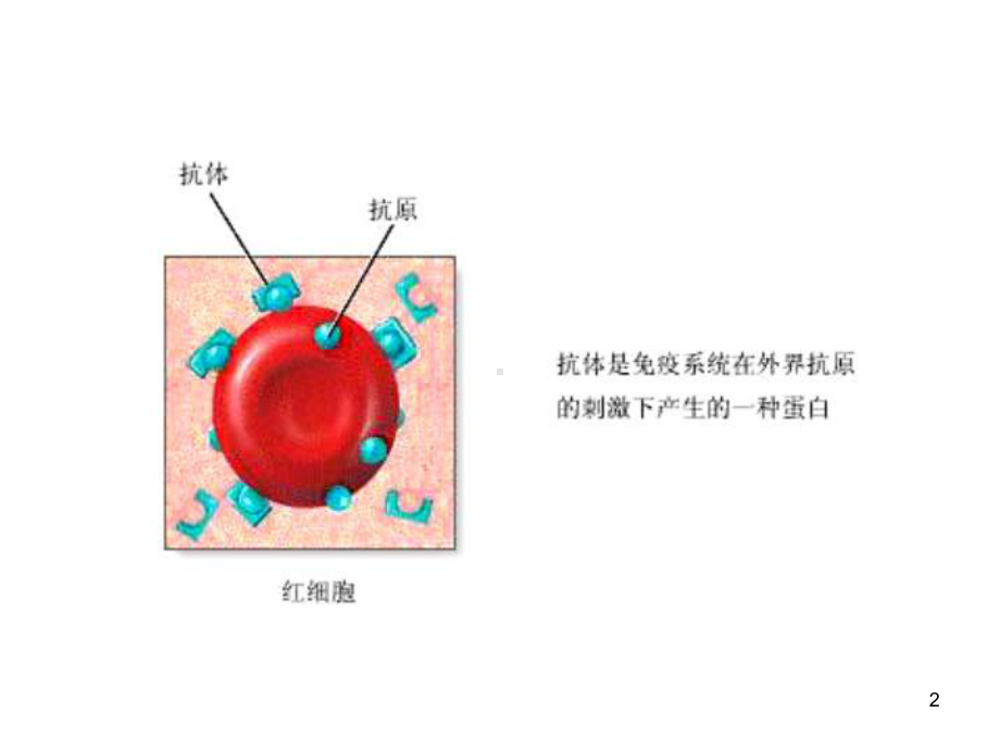 免疫学检测技术培训课件.ppt_第2页