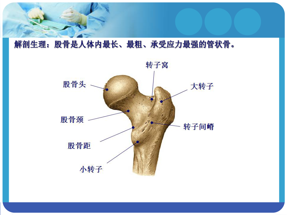 医学课件-股骨骨折护理教学课件.ppt_第3页