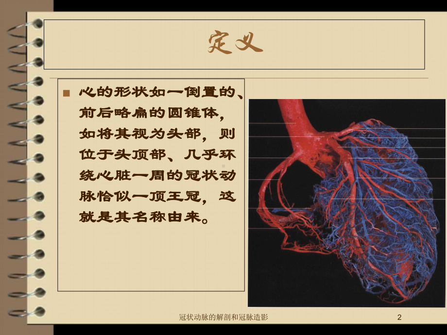 冠状动脉的解剖和冠脉造影培训课件.ppt_第2页