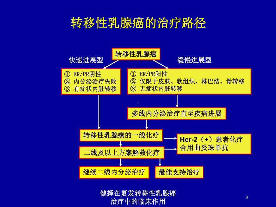 健择在复发转移性乳腺癌治疗中的临床作用培训课件.ppt_第3页