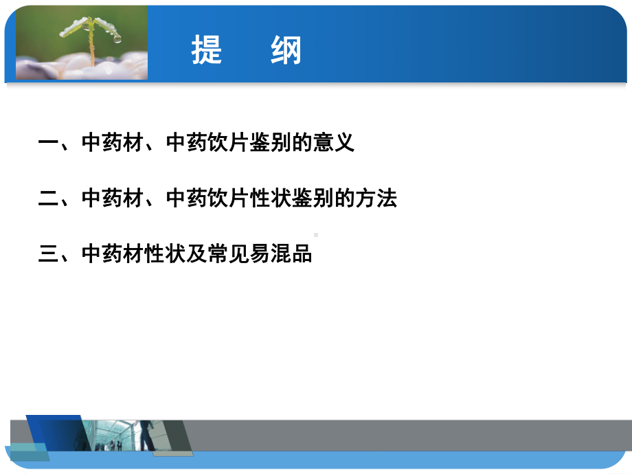 医学中药材的性状和真伪鉴别培训培训课件.ppt_第2页