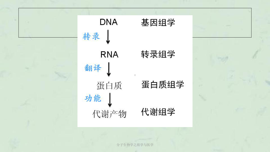 分子生物学之组学与医学课件.ppt_第2页