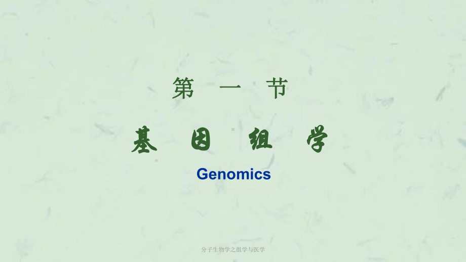 分子生物学之组学与医学课件.ppt_第3页