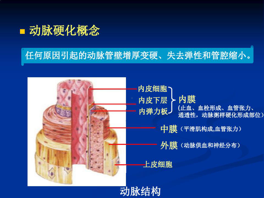 全面干预动脉粥样硬课件.ppt_第2页