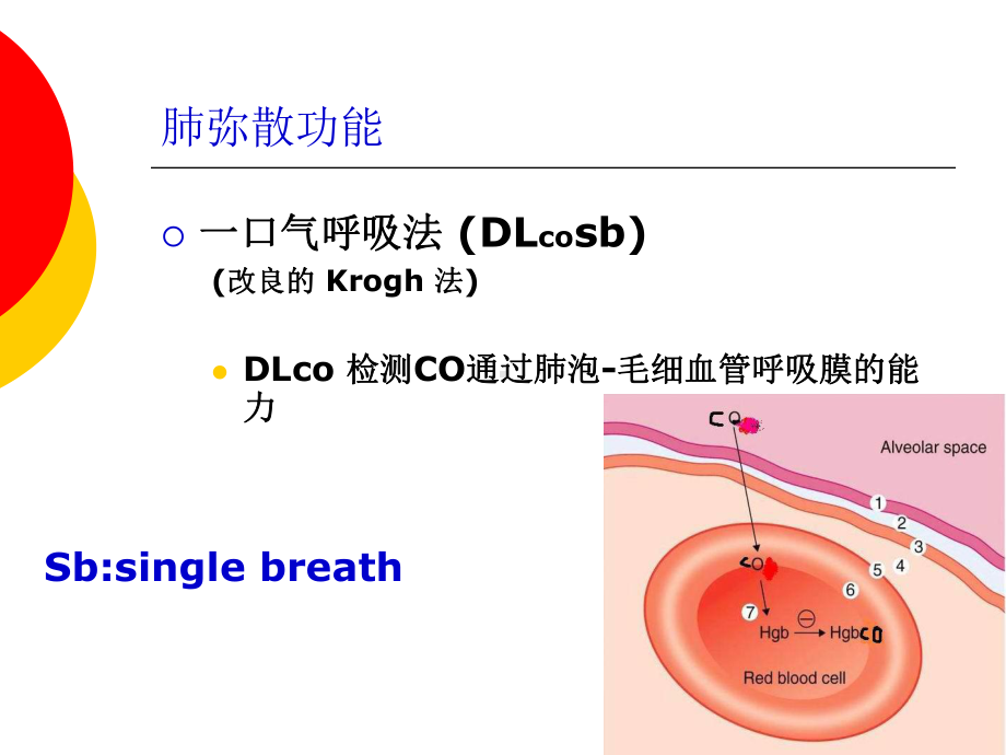 医学肺弥散功能检查培训课件.ppt_第2页