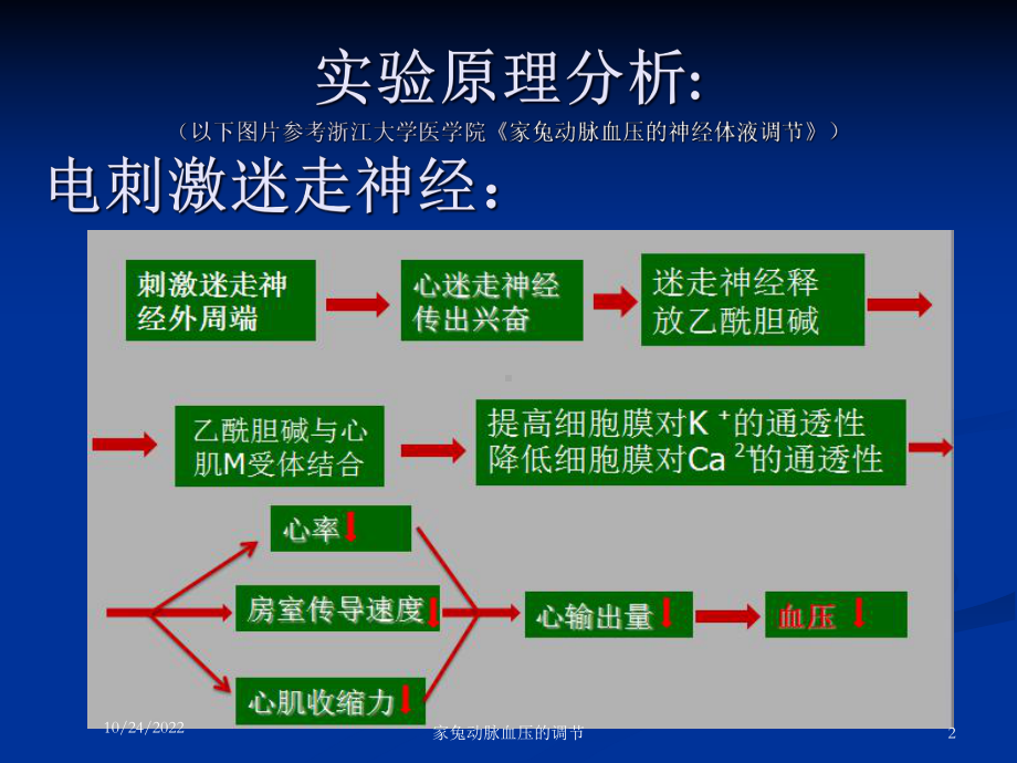 家兔动脉血压的调节培训课件.ppt_第2页