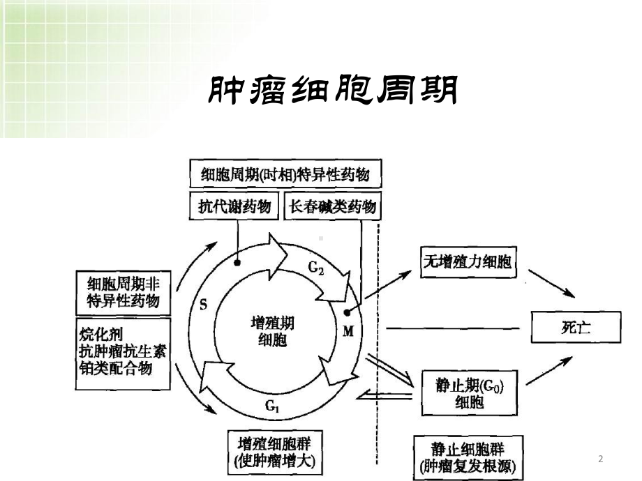 医学课件-常见化疗药物顺序课件.pptx_第2页