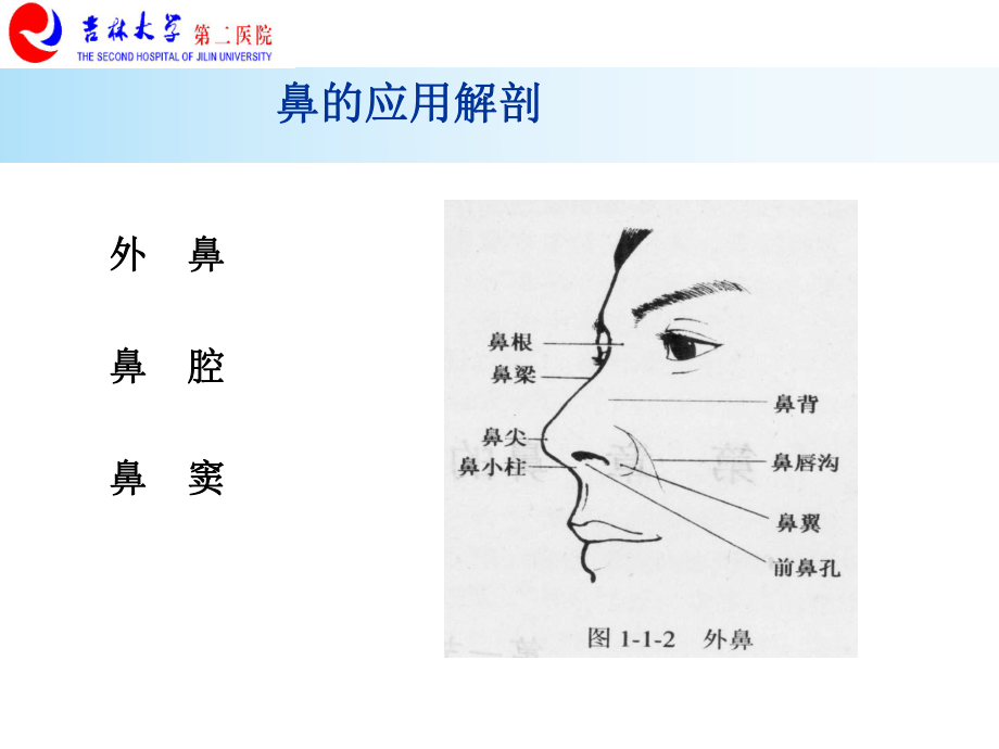 医学鼻炎鼻息肉医学培训课件.ppt_第3页