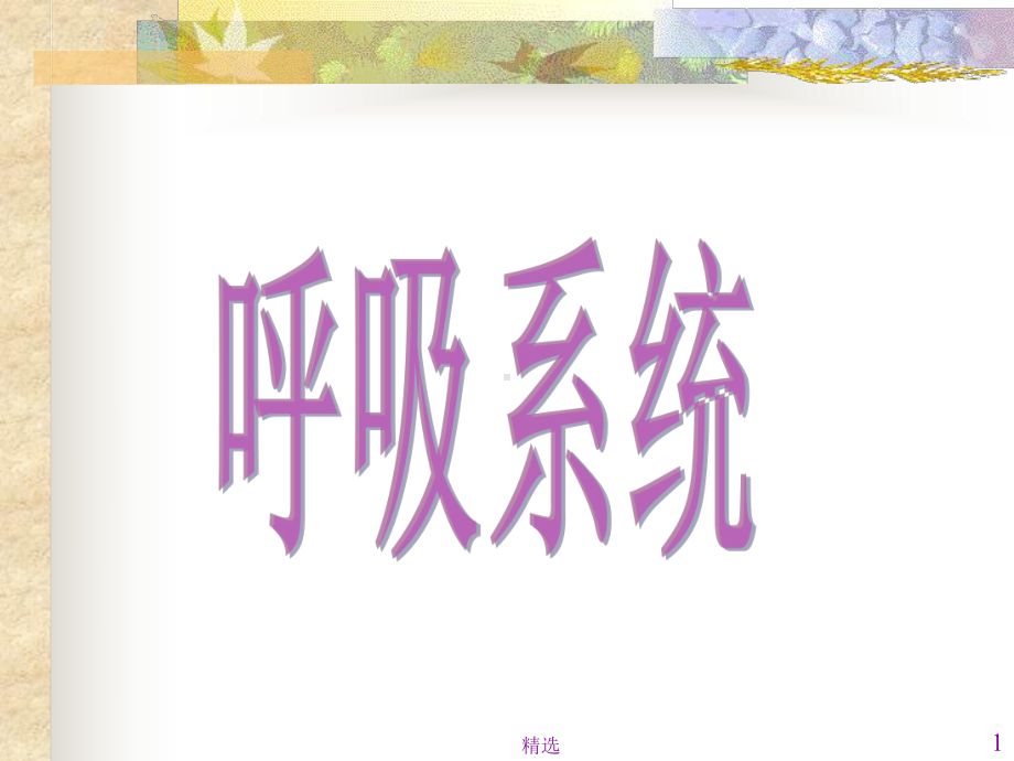 呼吸系统课件-3.ppt_第1页