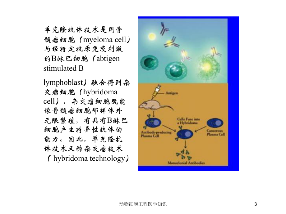 动物细胞工程医学知识培训课件.ppt_第3页