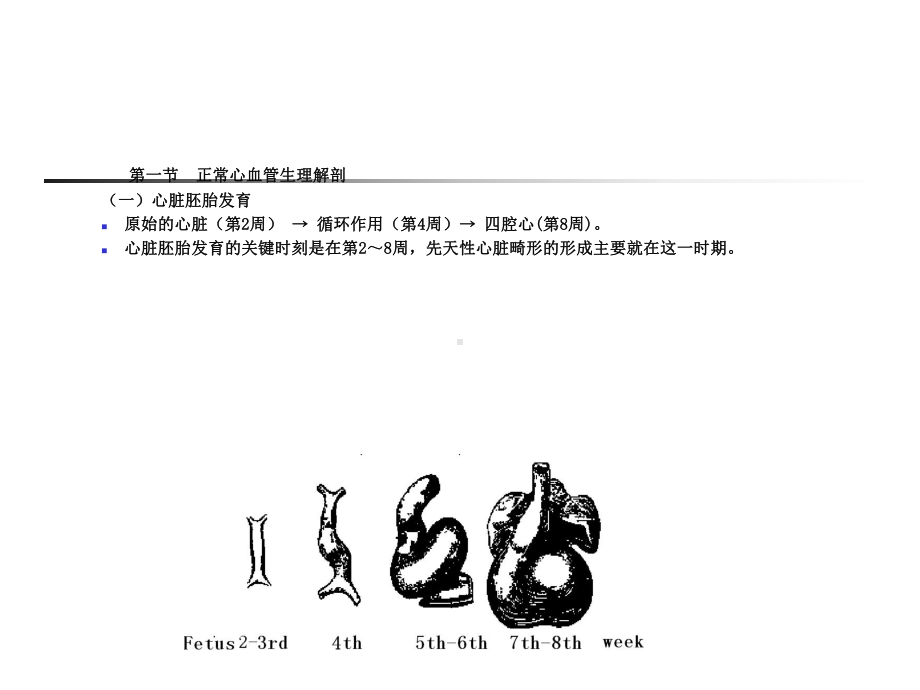 儿科学循环系统疾病课件.ppt_第3页