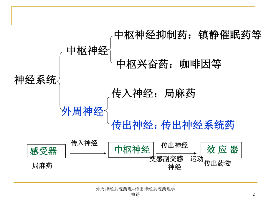 外周神经系统药理传出神经系统药理学概论-课件.ppt_第2页