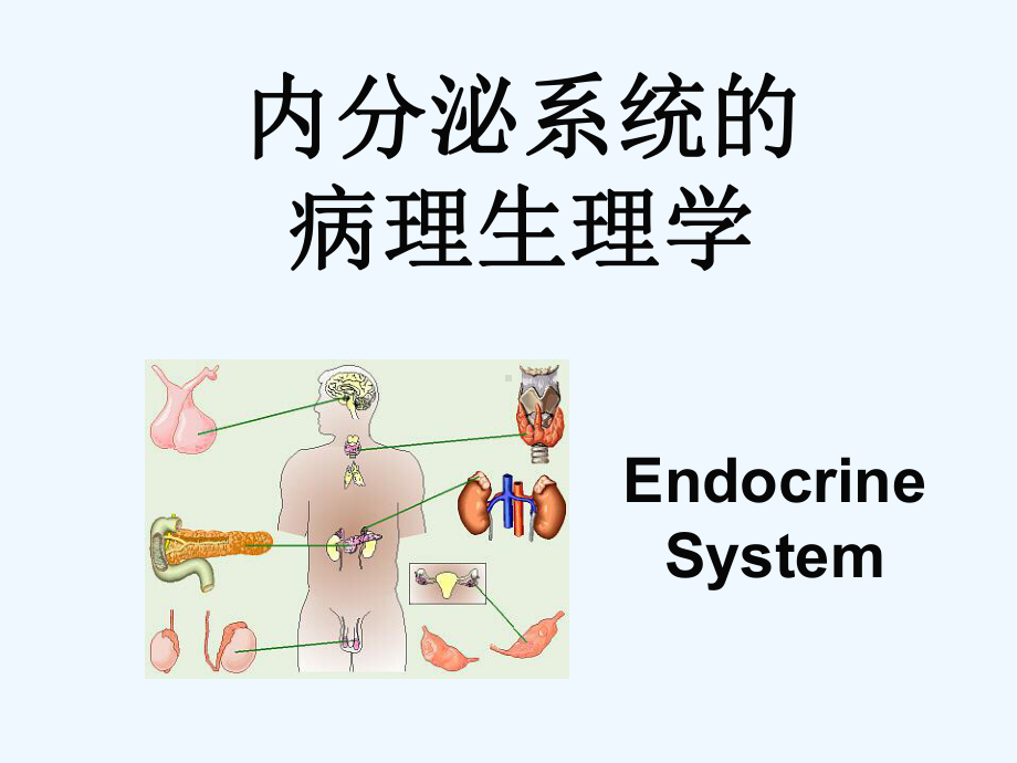 内分泌系统的病理生理学护理学课件.ppt_第1页