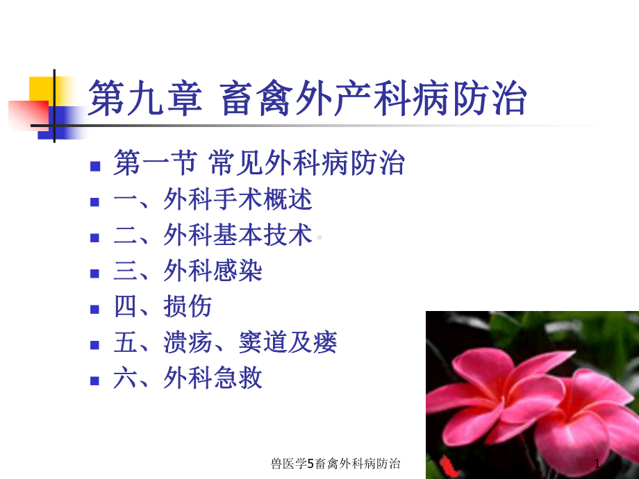 兽医学5畜禽外科病防治课件.ppt_第1页