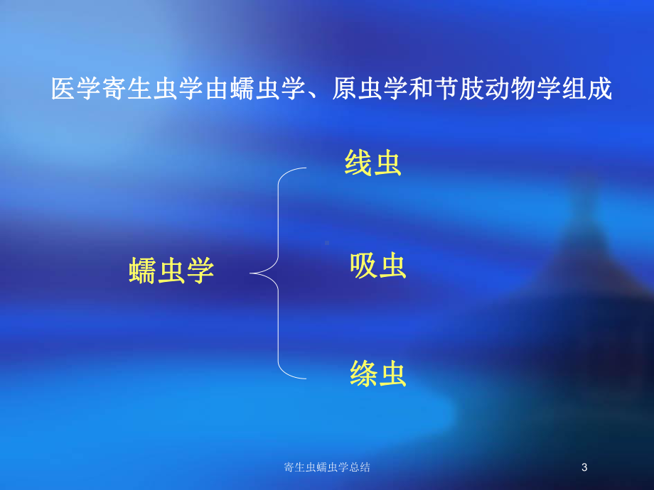 寄生虫蠕虫学总结培训课件.ppt_第3页