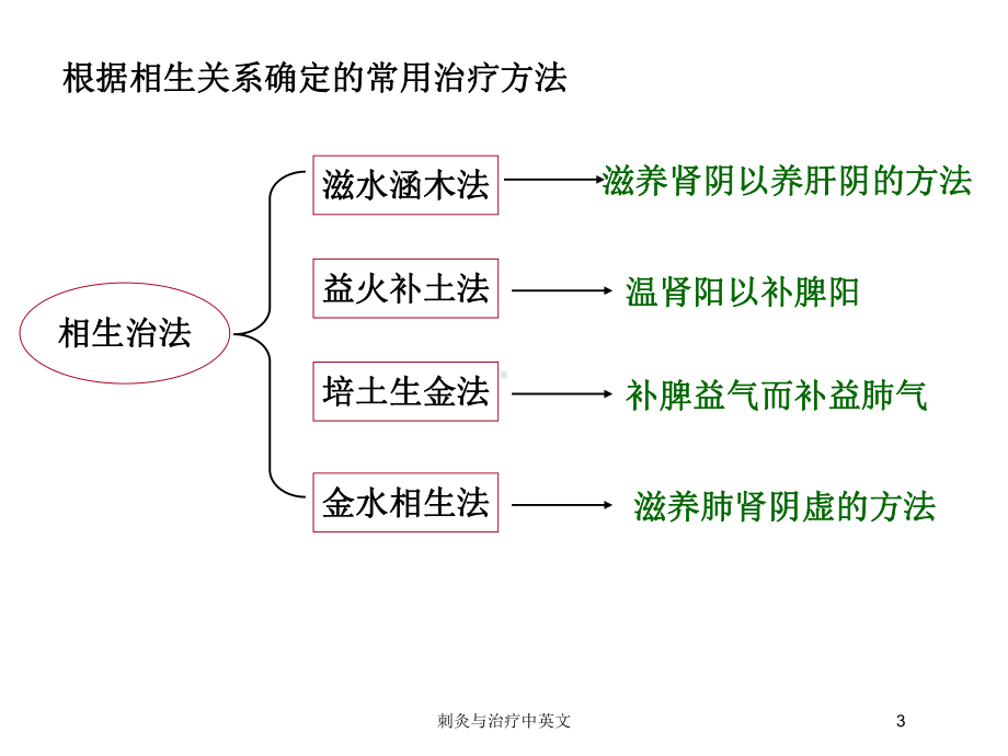 刺灸与治疗中英文培训课件.ppt_第3页