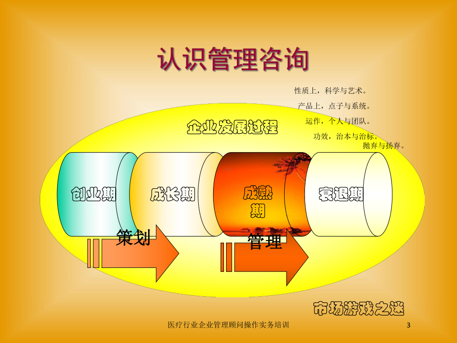 医疗行业企业管理顾问操作实务培训培训课件.ppt_第3页