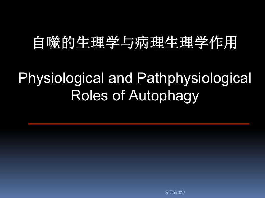 分子病理学课件.ppt_第1页