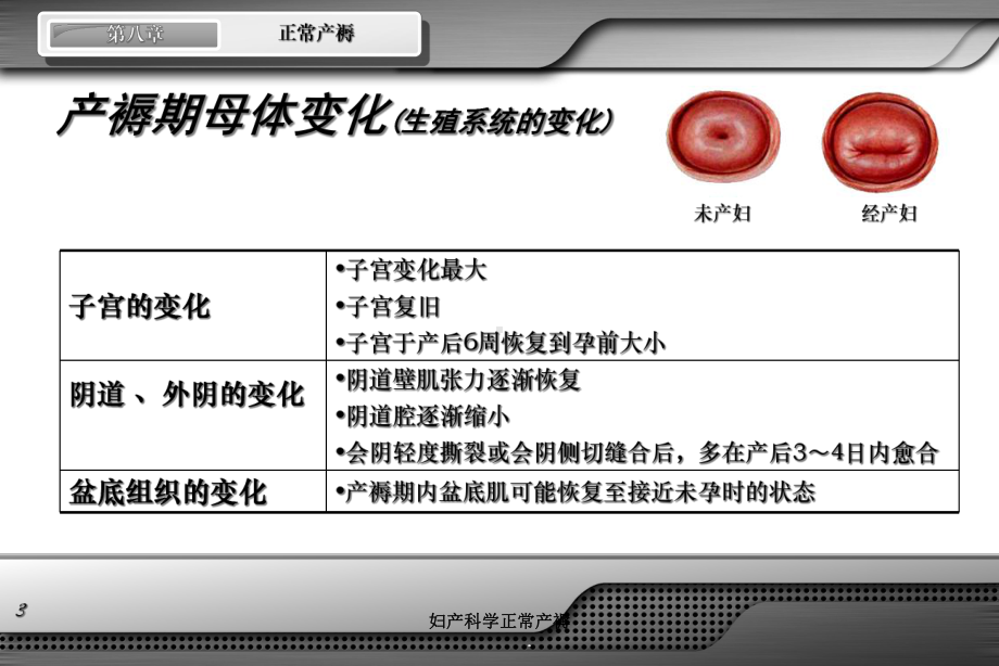 妇产科学正常产褥培训课件.ppt_第3页