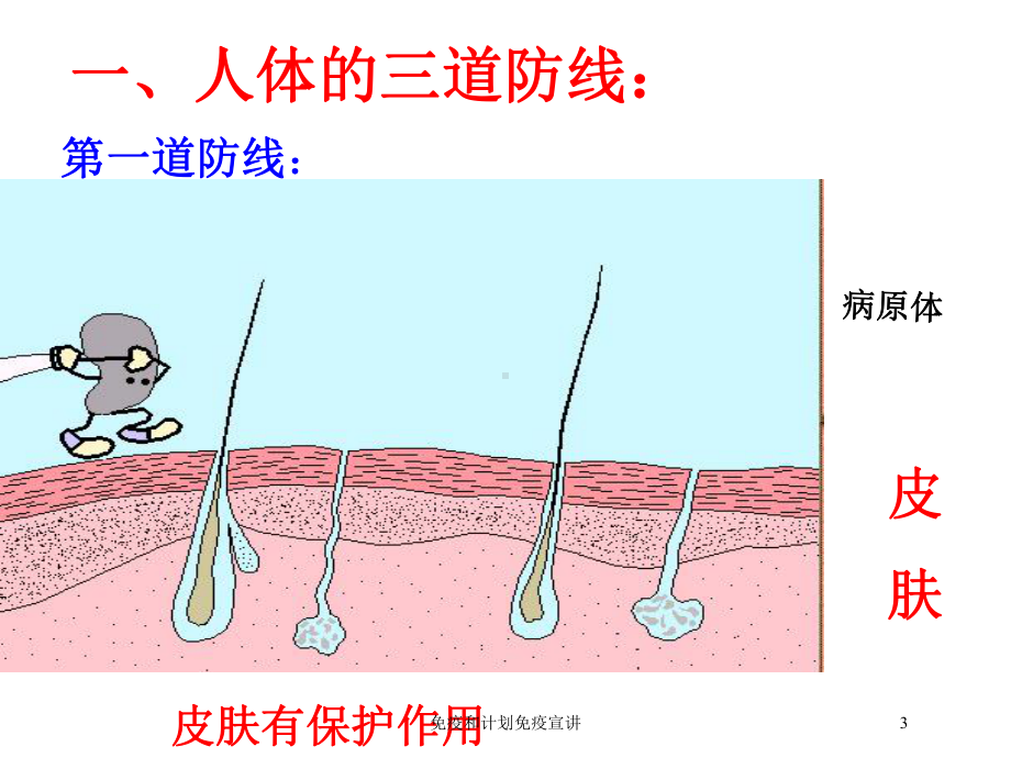 免疫和计划免疫宣讲培训课件.ppt_第3页