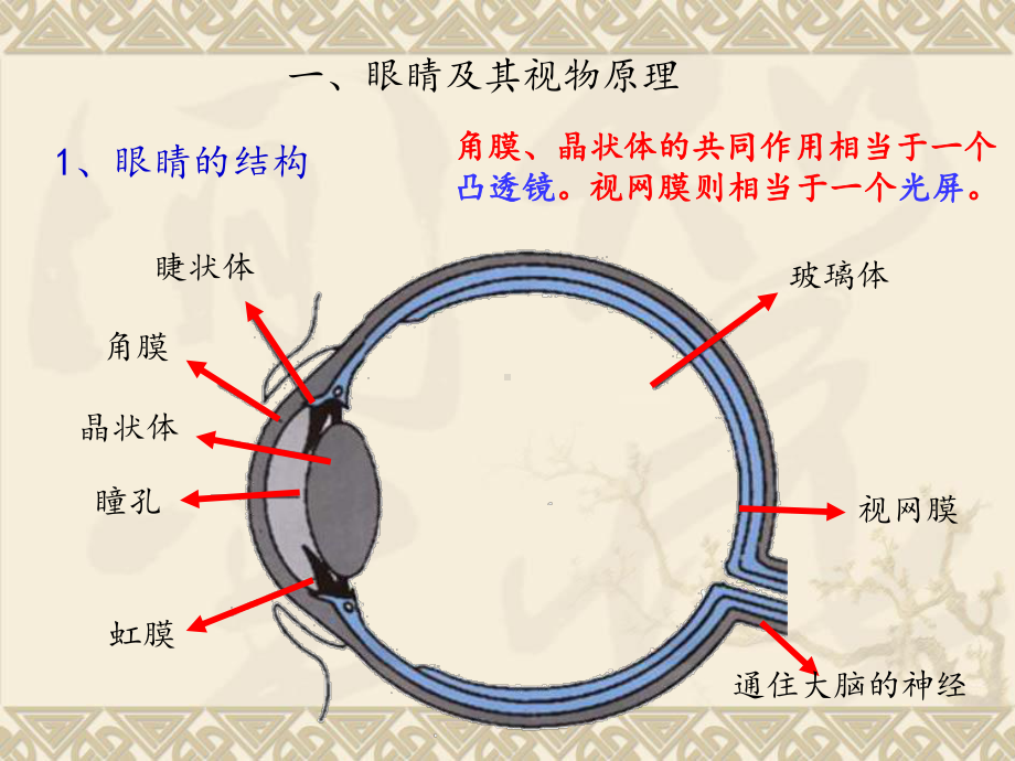 医学课件眼睛和眼镜专业医学知识宣讲.ppt_第2页