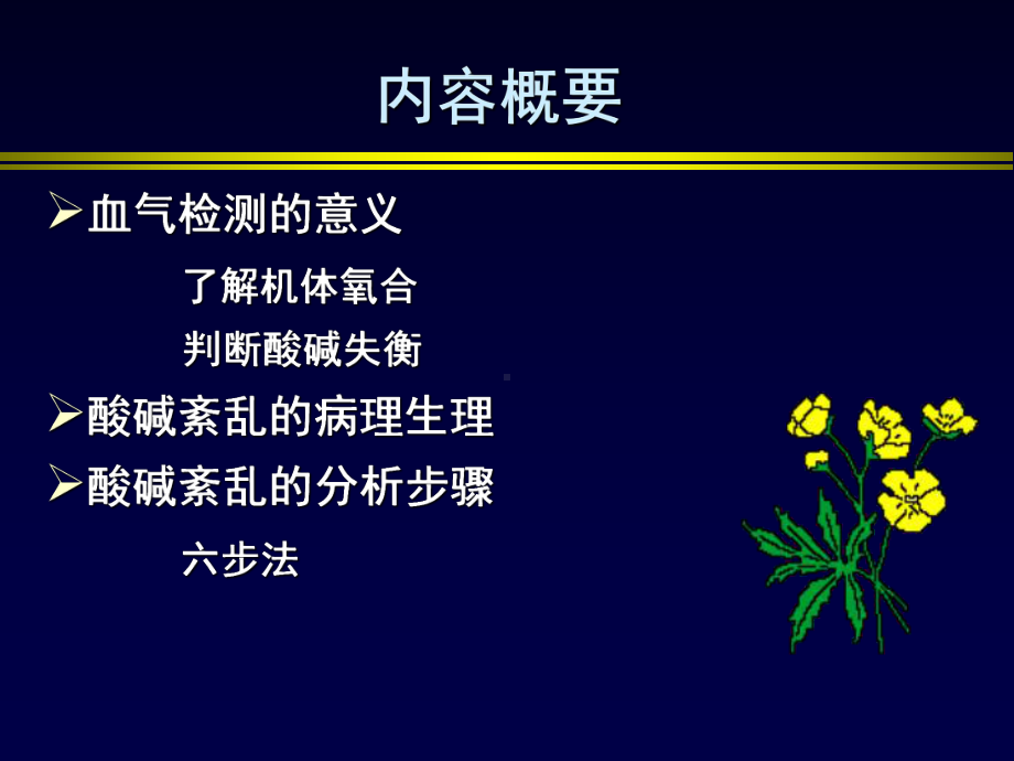 动脉血气检测与酸碱紊乱分析医学课件.ppt_第3页