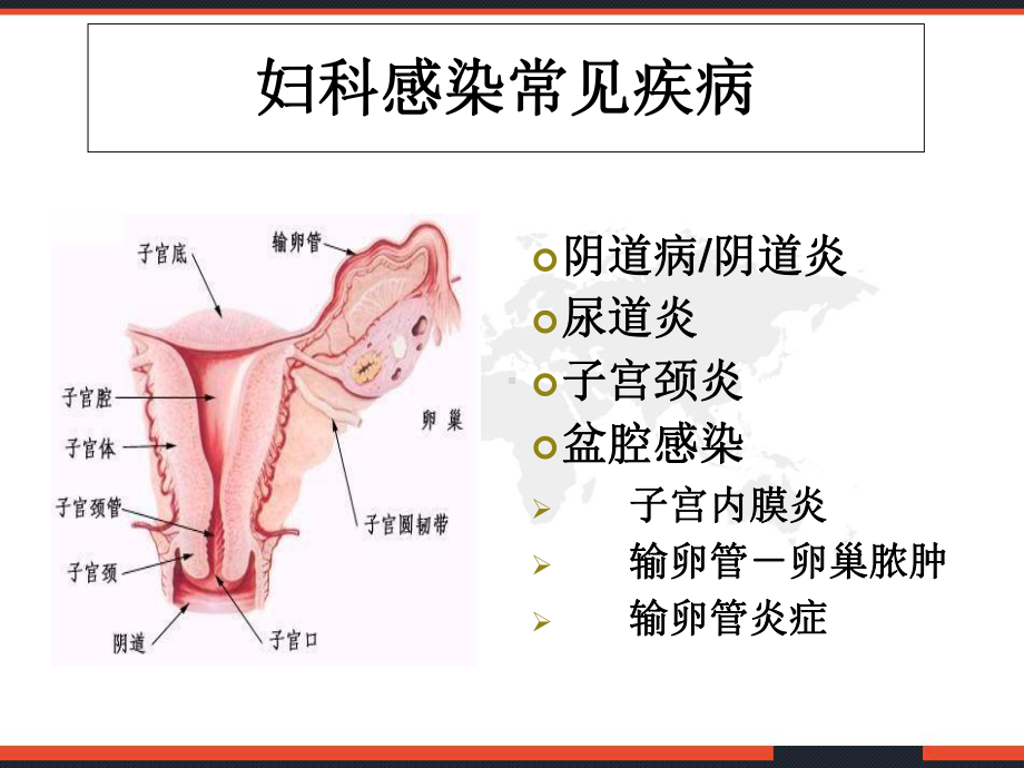 妇科感染常见病原菌及检测方法-课件.ppt_第2页