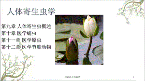 人体寄生虫学讲课件.ppt