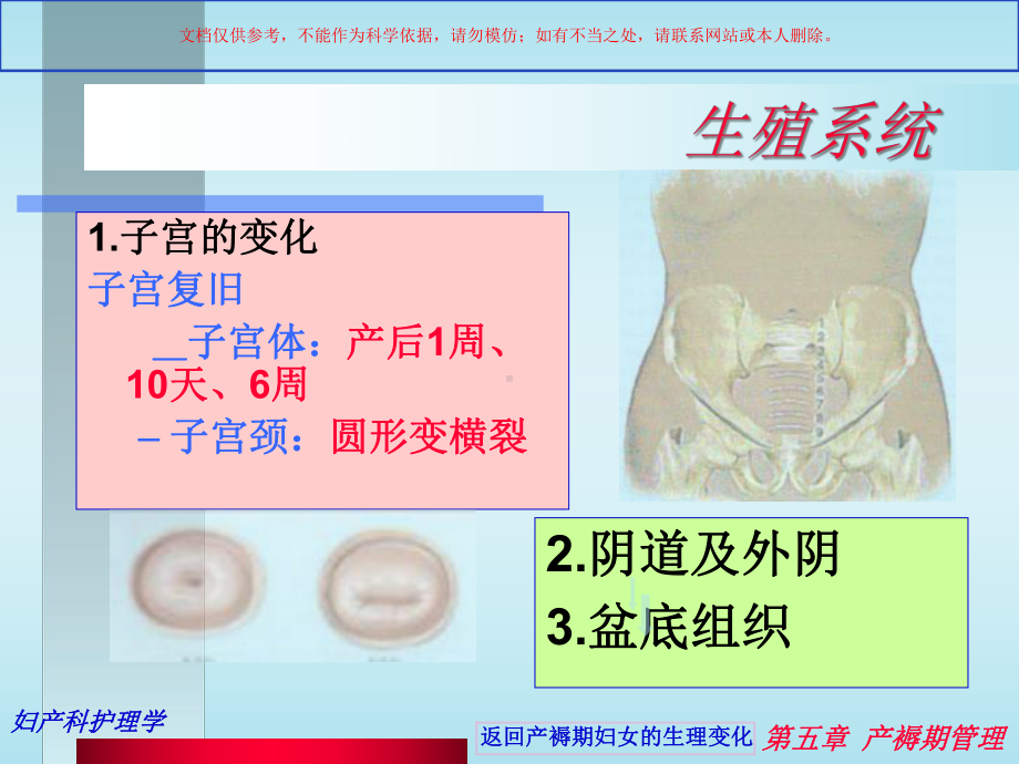 产褥期的护理课件.ppt_第3页