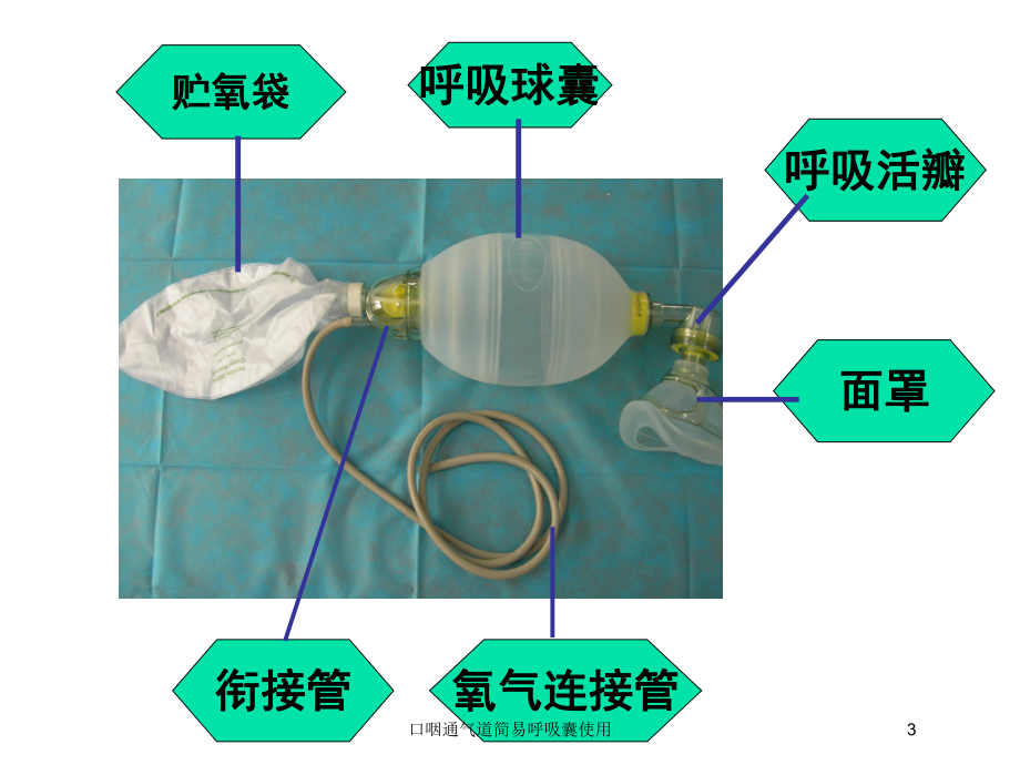 口咽通气道简易呼吸囊使用培训课件.ppt_第3页