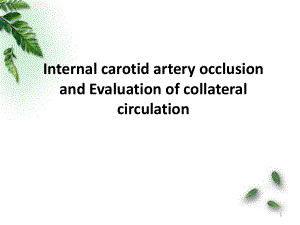医学课件-颈内动脉闭塞与侧枝循环课件.pptx