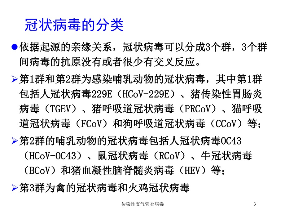 传染性支气管炎病毒培训课件.ppt_第3页