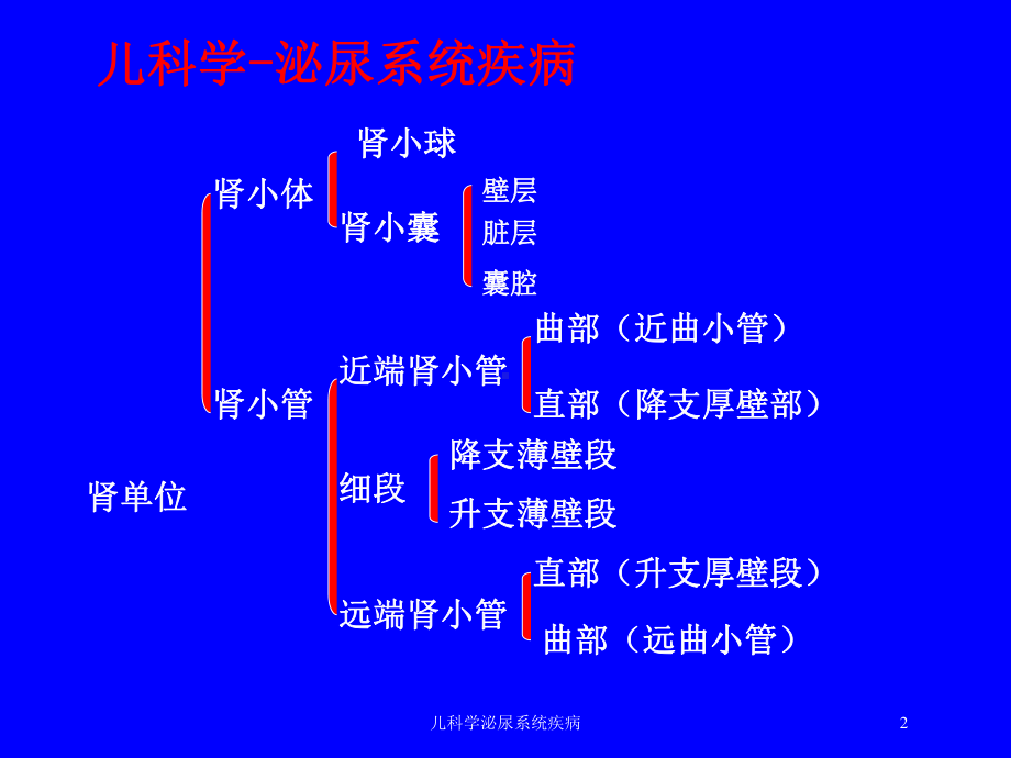 儿科学泌尿系统疾病培训课件.ppt_第2页