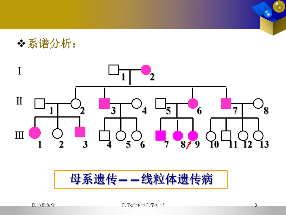 医学遗传学医学知识培训课件.ppt_第3页