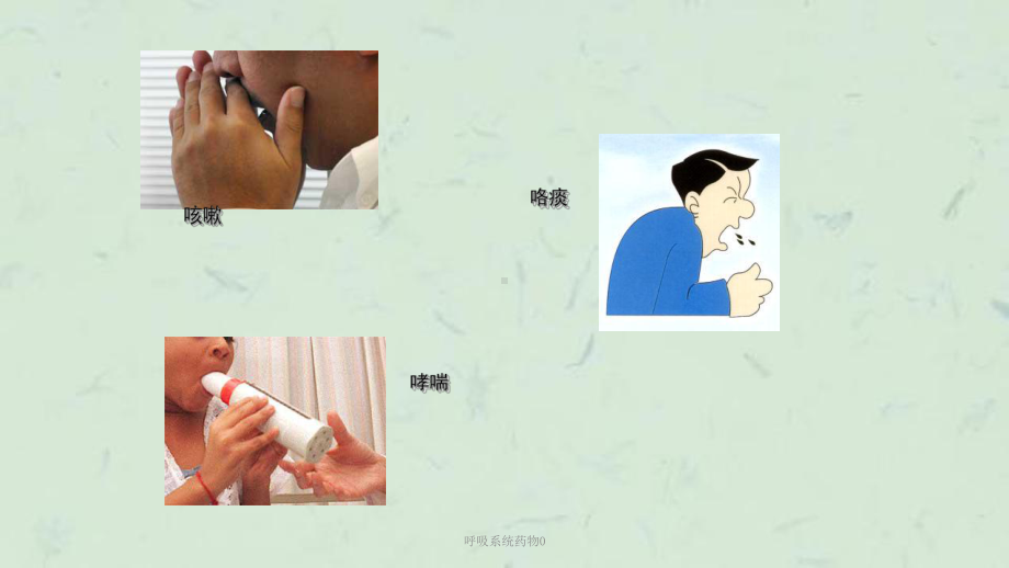 呼吸系统药物0课件.ppt_第2页