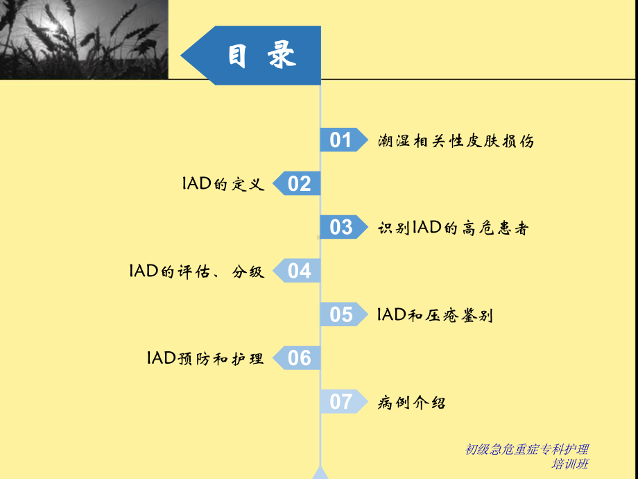 失禁性皮炎学习课件.ppt_第2页