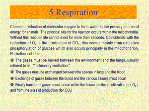 动物生理学5呼吸系统生理上课件.ppt