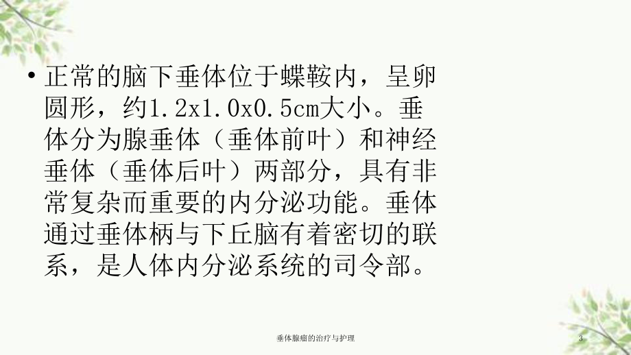 垂体腺瘤的治疗与护理课件.ppt_第3页