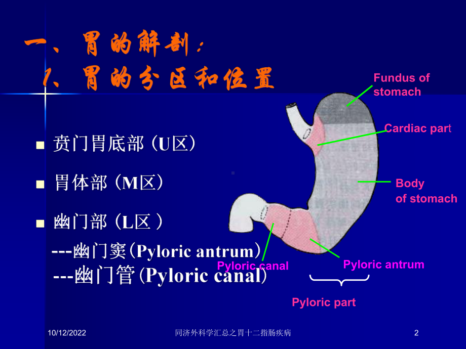 外科学汇总之胃十二指肠疾病课件.ppt_第2页