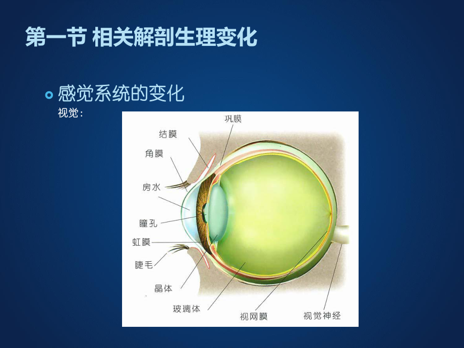 六老人认知与感知的护理课件.pptx_第2页