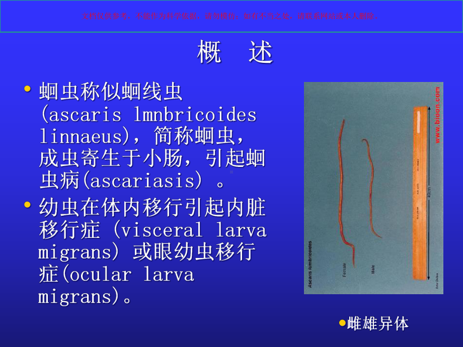 寄生虫病肠虫病培训课件.ppt_第2页