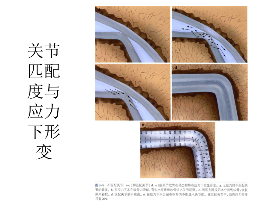 医学课件踝关节损伤诊疗.ppt_第3页